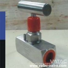 NPT T Handle F304/316/304L/316L Needle Valve